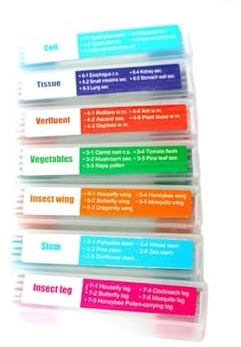 Pädagogische Biologie-Schienen-Set, 35-teilig, mit sieben klassifizierten Exemplaren, geeignet für Studenten und Forschungsanwendungen, pädagogische Biologie, Laborproben