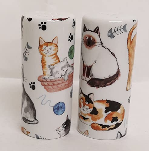 Juego de salero y pimentero de porcelana para gatos y salero y pimentero, decorado a mano en Reino Unido