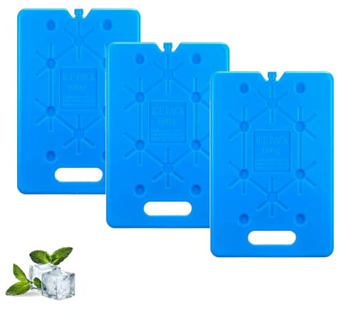 sunVigorous Groß Kühlakkus für kühltasche - 3/6 Stück à 600 ml-Wiederverwendbarer ultradünner kühlelement- Geeignet für Outdoor-Aktivitäten zum Mitnehmen, um Lebensmittel frisch zu halten