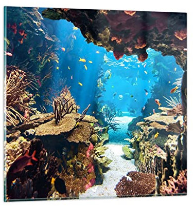 Vidrios decorativos Océano arrecife peces coral Cuadro Sobre Vidrio Moderno 30x30cm Decoracion Salon Dormitorio Cocina Cuadros Pared Impresiones Impresión en Cristal Wall Art Prints GAC30x30-2872