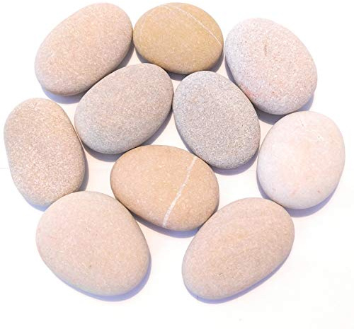 GUSEMORENO Piedras para Pintar Naturales de Playa Decoración Planas ovaladas. Manualidad Jardín Mandala Acuario (10 Piedras Medianas (6 a 8 cms.))