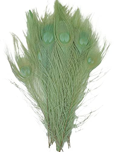 MIJOMA Set aus echten Federn, Dekofedern, Dekoration für Hochzeit, Weihnachten, zum Basteln, für Masken, Kostüme an Halloween und Karneval (28-30 cm, Pfauenauge grün, 12 Stück)