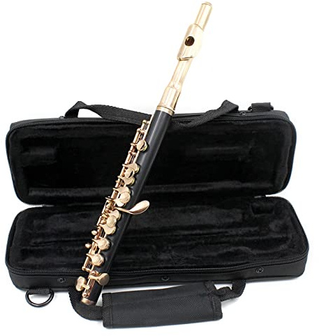 Flöteninstrument Flöte In Halber Größe, Kupfernickel, Versilbert, C-Tastenton Mit Poliertuch, Reinigungsstäbchen, Gepolsterte Box Professionelles Querflöten (Color : Gold)