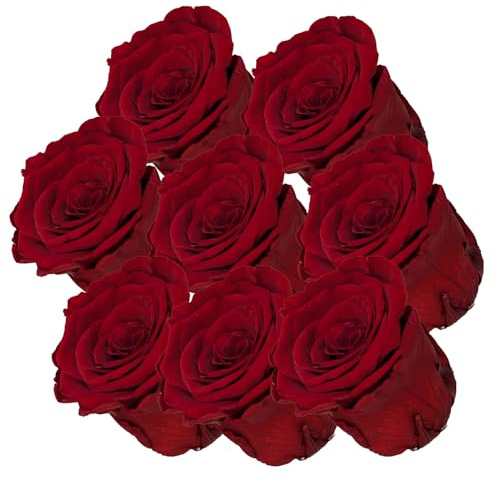your castle Infinity Rosen | Ewige Rose | 8 Stück gefriergetrocknete Rosen in Dunkelrot | Konservierte echte Blumen, die nie verwelken | Deko | Tischdeko.