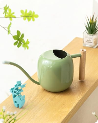 Baffect GießKanne Zimmerpflanzen Edelstahl Mit Holzgriff (1,2l, SalbeigrüN) | Klein Bonsai GießKanne, Metall Watering Can Mit Langer Hals FüR Innenbereich Topfpflanzen, Blumenkanne FüR Zimmerpflanzen