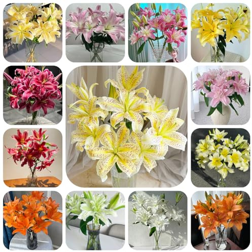 bulbi di giglio, perenni resistenti - giardino balconi decorazione del 4pcs