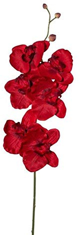 Kunstblumen PHALENOPSIS, ORCHIDEENZWEIG 76 cm. Farbe ROT 1017101-01