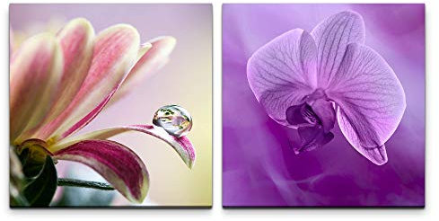 Paul Sinus Art Wandbild 2x60x60cm Zinnie Orchidee Wasserperle Blumen Fokus Dekorativ Makrofotografie