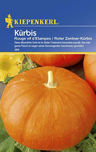 Kiepenkerl 384 Kürbis Rouge vif d'Etampes/Roter Zentner-Kürbis (Kürbissamen)