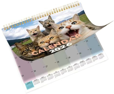 Calendario per gatti - Adorabile agenda creativa - Calendario da scrivania mensile 2026 | Per studio, organizzazione, tavolo, posto di lavoro, scuola, pianificazione, casa, famiglia e amici