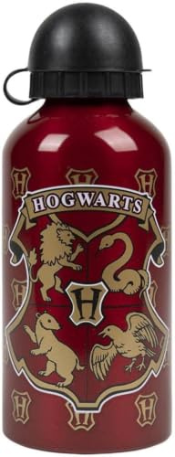 Harry Potter Bouteille Rechargeable, Conception Aluminium Résistant aux Fuites, Bouteille D'eau pour Enfants et Adolescents, Bouteille de Voyage Poudlard, Capacité 500 ml