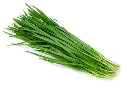 Pack of 2g, Approx. 600 Garlic Chives Seeds - Fresh Culinary Herb for Cooking & Medicinal Use (Garlic Chives)