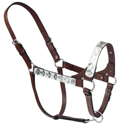 Premium Leather Horse Halter with Decorative Metal Plates – Adjustable, Durable, Comfortable Fit – Equine Headcollar for Everyday Use & Training (BLACK)