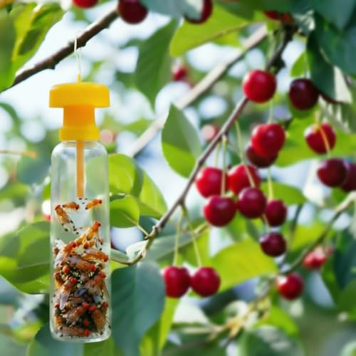 Piège Mouche Cerisier – Pack de 4 Couvercles avec Appât Inclus – Protection Anti-Nuisibles Jardin – Alternative Boule Anti Mouche – Compatible Bouteilles Standard