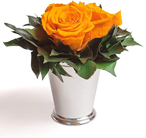 ROSEMARIE SCHULZ Heidelberg Infinity Blume in silberfarbenen Becher 3 konservierten Rosen Blumenarrangement langhaltend (Gelb, 3 Rosen)