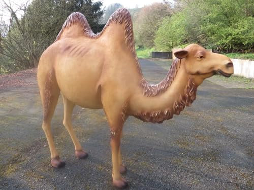 XXL Kamel lebensgross Gartendeko 185 x 210 x 65 cm ~ Cudek Garten Deko Figur Wow!