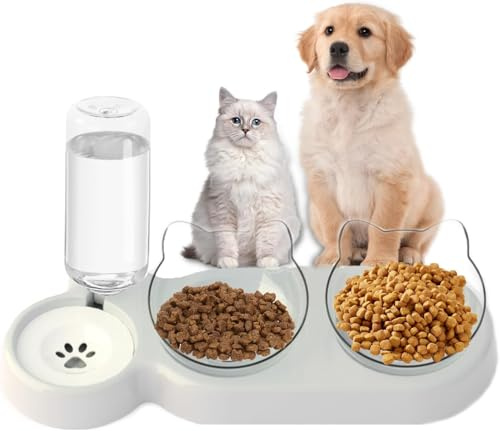 Set di ciotole 3 in 1 per gatti, doppia ciotola con erogatore d'acqua, ciotola per cibo per gatti e cani di piccola taglia (fondo grigio, ciotola trasparente)