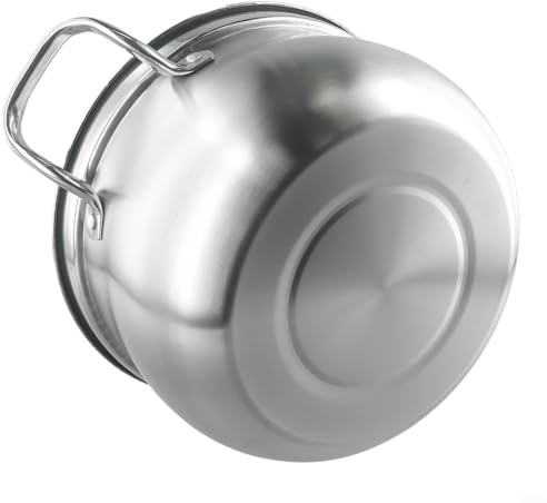 Olla de sopa de acero inoxidable de 24 cm con base de inducción y tapa de cristal, compatible con cocinas de gas, cerámica y halógenas, ideal para cocinar sopas, verduras,