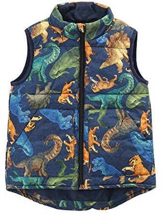MOMOLAND little Boys front zip Sleeveless Warm Padded Vest, Outerwear (Dinosaur, 6Y)