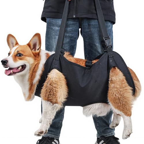 Aide au transport pour chien, harnais portable, harnais de levage réglable, avec boucle de support pour chien, sangle de transport pour chien, aide au levage complet du corps pour les chiens de taille