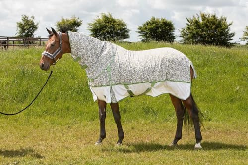 netproshop Pferde Fliegendecke Mesh-Pro Abschwitzdecke Größe 105-165, Groesse:115, Farbe:Mistletoe