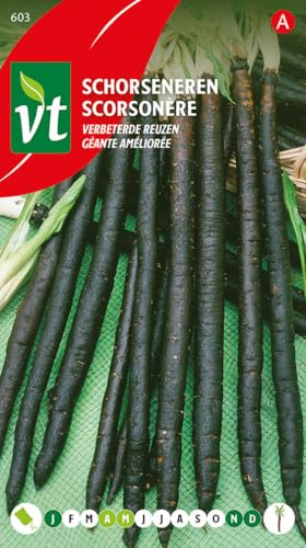 Semillas de escorzonera gigante mejorada - Hortaliza de piel negra