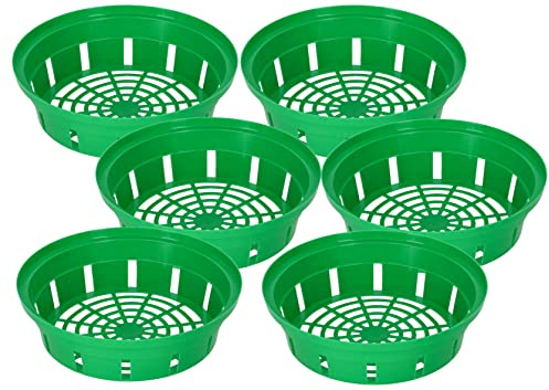 KOTARBAU® Set 6 Unidades Cesta para Bulbos - Plástico - ⌀ 230 mm - Verde - Bandeja para Plantar Bulbos de Flores - Tulipanes - Narcisos - Organizador Jardín - Reutilizable