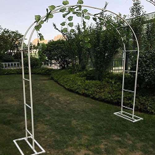 Zwpily Arche Jardin Aluminium Largeur, Arche À Rosiers Métal, Filet À Plantes Grimpantes, Filet de Treillis, pour Récolte de Concombres, Légume, Vignes, Plantes Grimpantes,Blanc,120x220x40CM