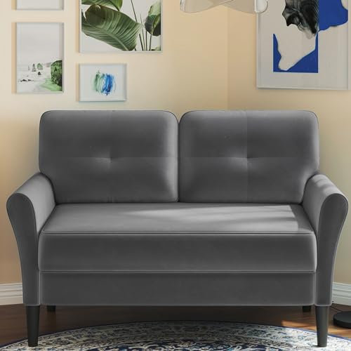 Domusensus Kleines Sofa 2 Sitzer, 123CM kleine Couch 2 Sitzer, Sofa klein mit 53CM extra tiefen Sitzen, MiniSofa Wohnzimmer, Werkzeugfreie Montage Sofas & Couches, Bequemer Samt Mini Couch, Grau
