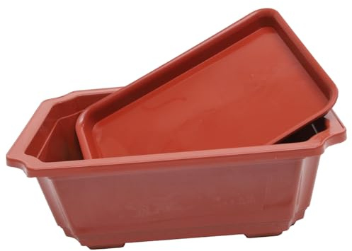 BAZEITFLOW Maceta Grande Ovalada para BonsáI con Bandeja Macetero De PláStico para JardíN E Interior Contenedor PráCtico para Plantas Pequeñas como Suculentas Y Helechos Ideal para DecoracióN Y Reg