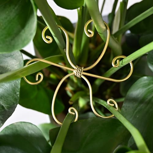 5 pali di supporto per piante Monstera, 14 x 14 cm, supporti in metallo per | Monstera & Fishbone - Supporto flessibile per piante da interno, ideale come regalo e accessori per giardinaggio per una