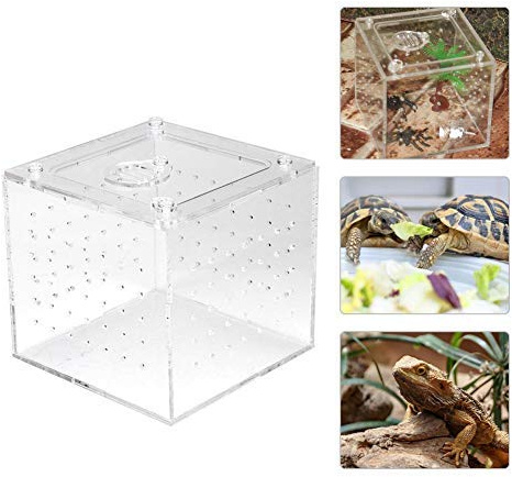 Transparente Reptilienbox Acryl Insekten-Sichtbox Aufzuchtbehälter Behälter für Spinnen-Vogelspinnen Geckos Grillen Schnecken Einsiedlerkrebse 3.9x3.9x3.5inch