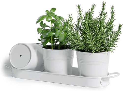 BSTMOME Herb Pot Planter Set with Tray for Indoor Garden Outdoor Use, Decorative White Metal Succulent Pots Windowsill Planter Pots for Kitchen Grow (White)