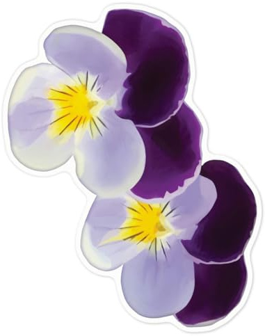 Azeeda 'Pansies' White Premium Vinyl Decal Sticker – Waterproof, Durable & Easy to Apply - for Car Bumpers, Windows, Bins & More - Large (210mm) (DW00032739)