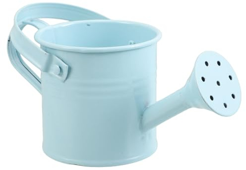 GATHINESS Mini Annaffiatoio in Latta Manico, Vaso Decorativo per Piante Grasse, Flacone Nebulizzatore Portatile per Interni, Casa, Ufficio e Giardino, Accessorio Fotografico Color Azzurro