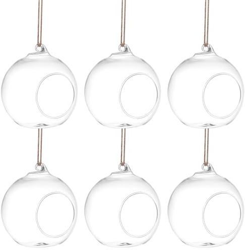 YOSADIER Terrarienhalter Glas 6 Stück 10cm Durchmesser Hängevase mit Hanfseil für Sukkulenten Moos und Miniaturpflanzen Geeignet für Innen und Außenbereiche
