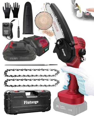 EJOYDUTY Mini Tronconneuse a Batterie Sans Fil 6 Pouces Elagueuse Petite Tronçonneuse Electrique à Main avec 2 Batterie 24V, 2 Chaine Carbure, Système Oil, Scies électriques Jardin pour Arbre