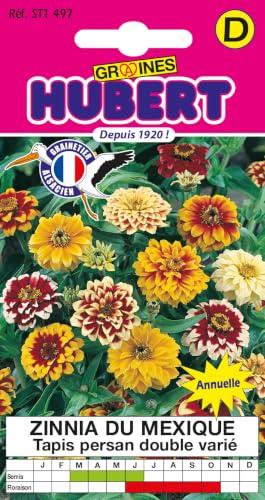 Graines de Zinnia du Mexique - Tapis Persan Double Varié - 1 gramme