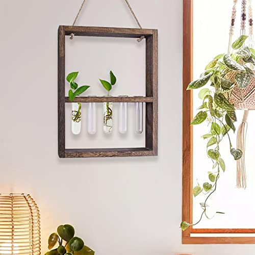 Yunmiao Plant Propagation Station, Wall Mounted 5 Test Tube Vase With Wooden Stand,Propagation Glass Tube For Hydroponic Plant,Home Garden Interior Decoration