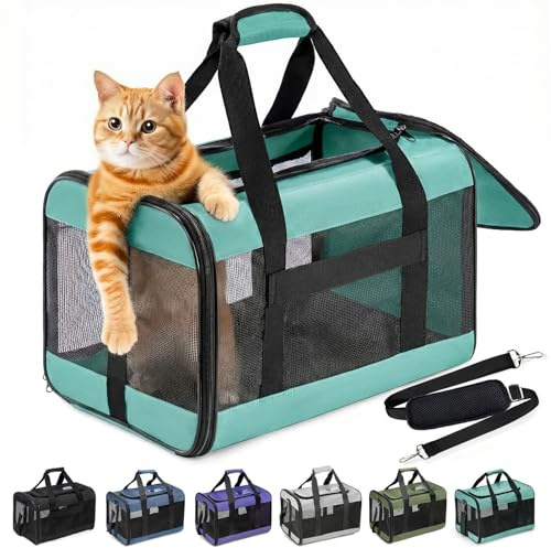 Conlun Transportbox Katze M, Flugzeugtaugliche Katzentransportbox bis 7kg | Türkis Katzentransporttasche mit innerer Sicherheitsschnalle, ideal als Katzenkorb Transport für Reise, Auto und Flugzeug