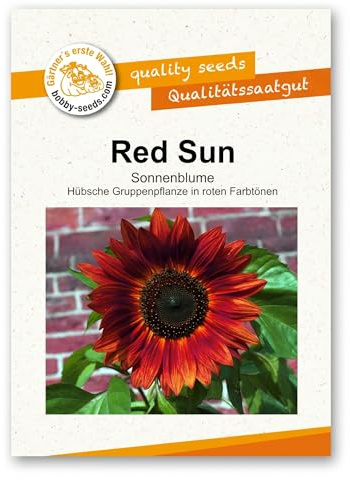 Bobby-Seeds Sonnenblumen Samen Red Sun, Saatgut für ca. 50 Pflanzen, rote verzweigte Ziersonnenblumen, ideal als Schnittblume für Garten & Beet