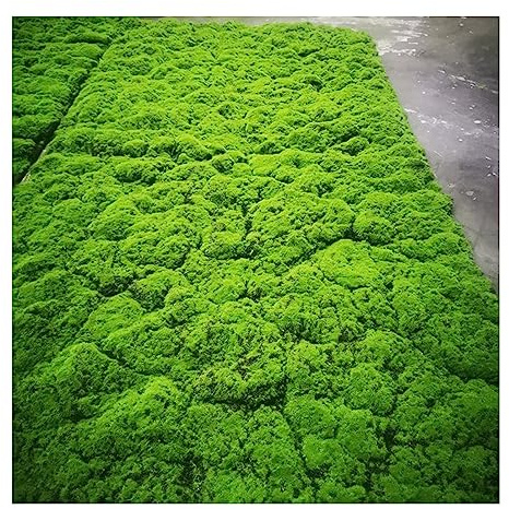 ALFAAL Muschio Stabilizzato Parete Artificiale del Prato delle Briofite Prato Verde Artificiale Famiglia Cortile Giardino per Matrimoni Prato Decorativo con Muschio Artificiale (Color : B, Size : 10