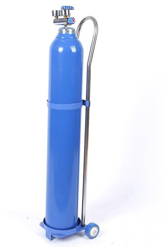Generisch Tragbares Gasflaschengestell aus Edelstahl mit Rädern, Leichter Tankwagen für Zuhause, Krankenhaus und Schule – 80 cm (10 l), robuster Halter