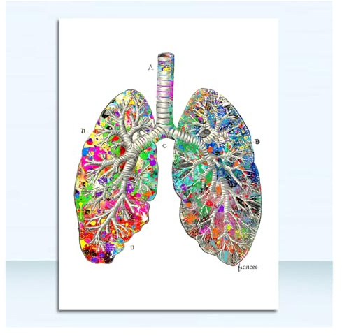 Supkancl Quadro su Tela Poster e Stampe nordici Immagini a Parete for Soggiorno Anatomia Cuore Cervello Medicina Astratta Stampa Artistica da(5,15x20cm No Frame)