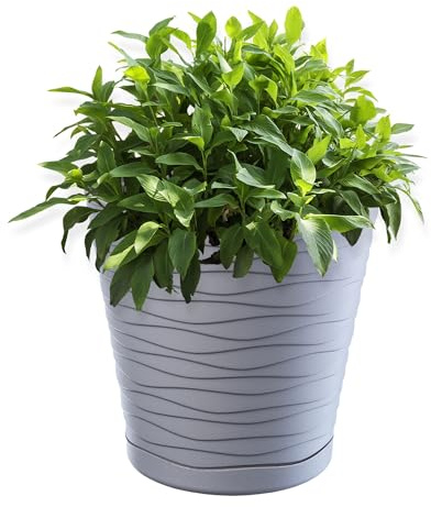 KADAX Blomkruka med underlägg, planteringskruka för inomhus, lätt blomkruka, växtkruka av plast, rund ytterkruka för blommor, växter, hus, växtkruka (19 cm, grå)