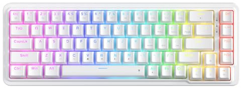 Redragon K709 65% kabelgebundene Gasket RGB-Gaming-Tastatur, 68 Tasten Hot-Swap-Sockel für mechanische Tastatur, 3-lagige Geräuschdämpfung, leiser benutzerdefinierter linearer Schalter