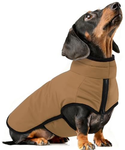 AOFITEE Hundemantel, Warme Hundewinterjacke für Kleine Hunde, Reflektierender Hundemantel mit Integriertem Geschirr, Wasserdichter Hundejacke aus Fleece mit Rollkragen für Yorkshire, West Highland