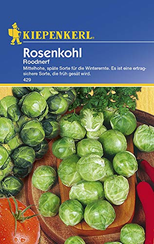 Kiepenkerl 429 Rosenkohl Roodnerf (Rosenkohlsamen)