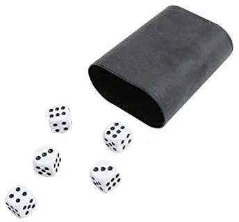 Joja Gobelet + 5 dés Jeu de Yam - Yams - Yam's