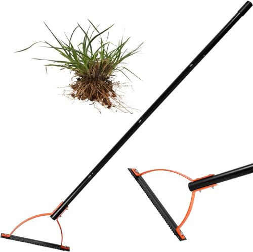 HYQNG Handheld Weed Grass Cutter with Serrated Double-edged Sharp Blade, Manual Grass Whip with 60 Inch Steel Handle, Weed Whacker Grass Whip Cutting Tool for Garden, Yard, Field and Ditches